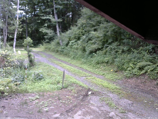 長野県菅平高原 ゆたか山荘 東側(坂下) 2025/07/28 13:30