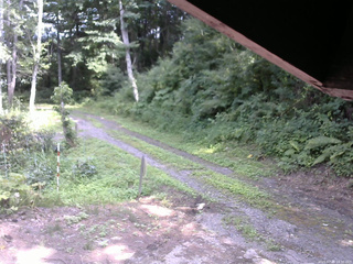 長野県菅平高原 ゆたか山荘 東側(坂下) 2025/07/28 14:30