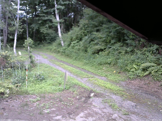 長野県菅平高原 ゆたか山荘 東側(坂下) 2025/07/28 15:30