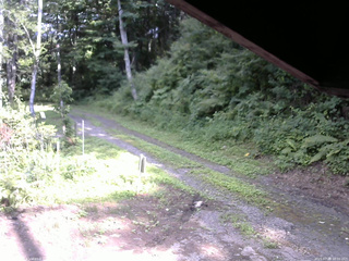 長野県菅平高原 ゆたか山荘 東側(坂下) 2025/07/28 16:00