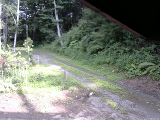 長野県菅平高原 ゆたか山荘 東側(坂下) 2025/07/28 16:15