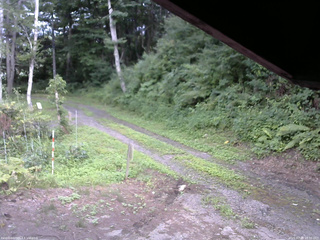 長野県菅平高原 ゆたか山荘 東側(坂下) 2025/07/28 16:30