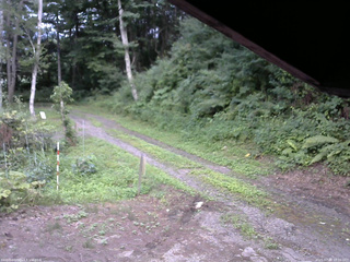 長野県菅平高原 ゆたか山荘 東側(坂下) 2025/07/28 18:00