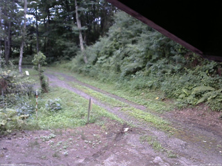 長野県菅平高原 ゆたか山荘 東側(坂下) 2025/07/28 18:15