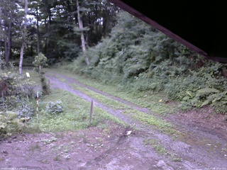 長野県菅平高原 ゆたか山荘 東側(坂下) 2025/07/28 18:30