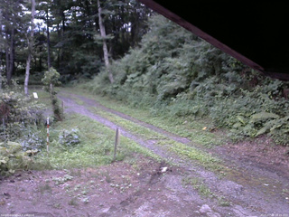長野県菅平高原 ゆたか山荘 東側(坂下) 2025/07/28 18:45