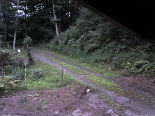 長野県菅平高原 ゆたか山荘 東側(坂下) 2025/07/28 19:00
