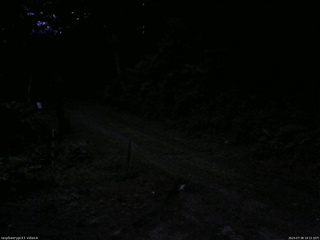 長野県菅平高原 ゆたか山荘 東側(坂下) 2025/07/28 19:15