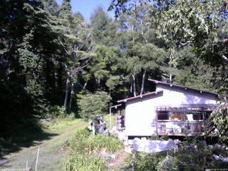 長野県菅平高原 ゆたか山荘 西側(坂上) 2025/07/28 07:45