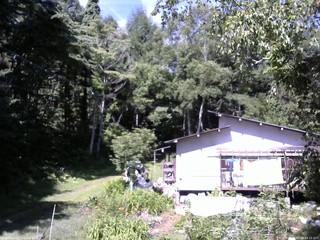 長野県菅平高原 ゆたか山荘 西側(坂上) 2025/07/28 09:15