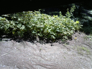 長野県菅平高原 ゆたか山荘 駐車場 2025/07/28 08:30