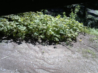 長野県菅平高原 ゆたか山荘 駐車場 2025/07/28 08:45