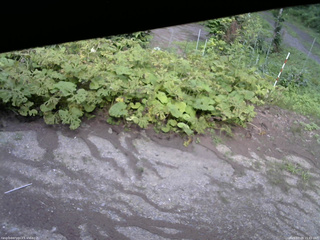 長野県菅平高原 ゆたか山荘 駐車場 2025/07/28 15:45