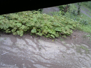 長野県菅平高原 ゆたか山荘 駐車場 2025/07/28 17:00