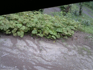 長野県菅平高原 ゆたか山荘 駐車場 2025/07/28 17:30