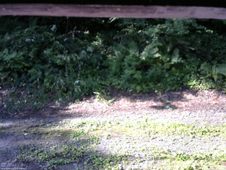 長野県菅平高原 ゆたか山荘 南側 2025/07/29 07:45