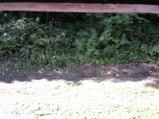 長野県菅平高原 ゆたか山荘 南側 2025/07/29 08:15