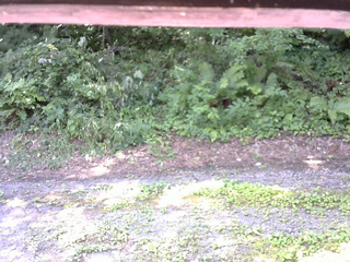 長野県菅平高原 ゆたか山荘 南側 2025/07/29 09:30