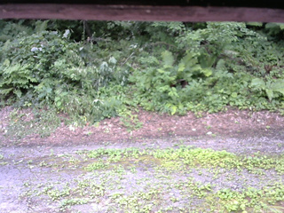 長野県菅平高原 ゆたか山荘 南側 2025/07/29 10:30