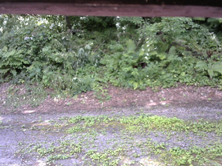 長野県菅平高原 ゆたか山荘 南側 2025/07/29 11:45