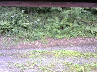 長野県菅平高原 ゆたか山荘 南側 2025/07/29 12:00