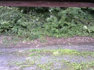 長野県菅平高原 ゆたか山荘 南側 2025/07/29 12:15