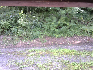 長野県菅平高原 ゆたか山荘 南側 2025/07/29 12:30