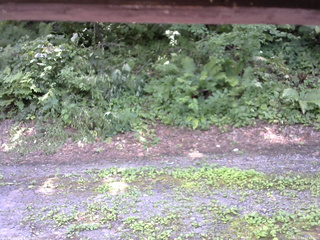 長野県菅平高原 ゆたか山荘 南側 2025/07/29 12:45