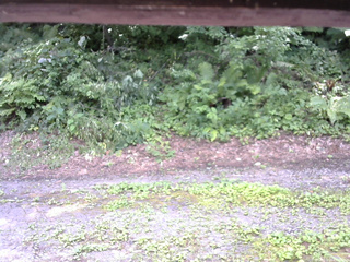 長野県菅平高原 ゆたか山荘 南側 2025/07/29 13:00