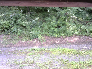 長野県菅平高原 ゆたか山荘 南側 2025/07/29 13:15