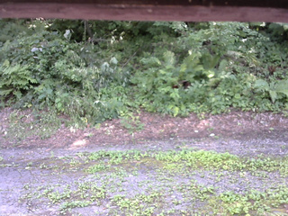 長野県菅平高原 ゆたか山荘 南側 2025/07/29 13:30