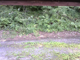 長野県菅平高原 ゆたか山荘 南側 2025/07/29 13:45