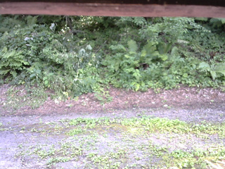 長野県菅平高原 ゆたか山荘 南側 2025/07/29 14:15