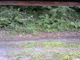 長野県菅平高原 ゆたか山荘 南側 2025/07/29 14:30