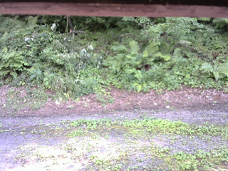 長野県菅平高原 ゆたか山荘 南側 2025/07/29 15:00