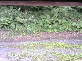 長野県菅平高原 ゆたか山荘 南側 2025/07/29 15:15