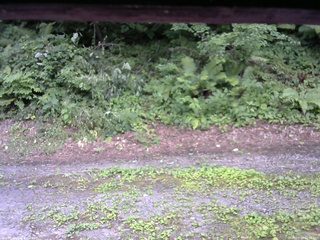 長野県菅平高原 ゆたか山荘 南側 2025/07/29 16:00