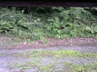 長野県菅平高原 ゆたか山荘 南側 2025/07/29 16:45