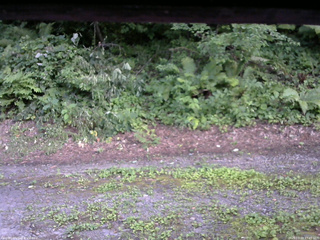 長野県菅平高原 ゆたか山荘 南側 2025/07/29 17:45