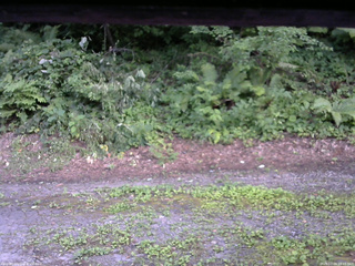 長野県菅平高原 ゆたか山荘 南側 2025/07/29 18:15