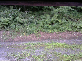 長野県菅平高原 ゆたか山荘 南側 2025/07/29 18:30