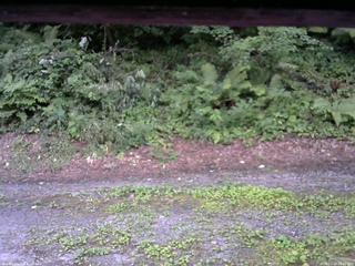 長野県菅平高原 ゆたか山荘 南側 2025/07/29 18:45