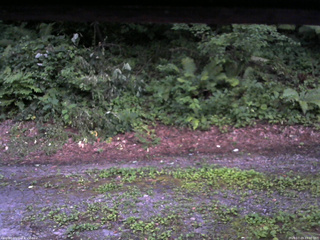 長野県菅平高原 ゆたか山荘 南側 2025/07/29 19:00