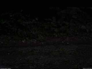 長野県菅平高原 ゆたか山荘 南側 2025/07/29 19:15