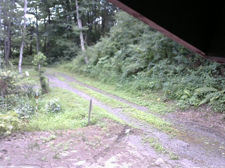 長野県菅平高原 ゆたか山荘 東側(坂下) 2025/07/29 10:15