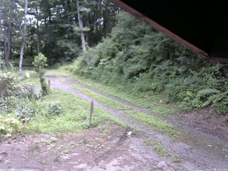 長野県菅平高原 ゆたか山荘 東側(坂下) 2025/07/29 12:00