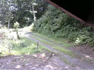 長野県菅平高原 ゆたか山荘 東側(坂下) 2025/07/29 12:15