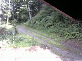 長野県菅平高原 ゆたか山荘 東側(坂下) 2025/07/29 15:15