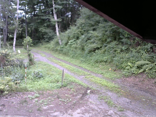 長野県菅平高原 ゆたか山荘 東側(坂下) 2025/07/29 15:45