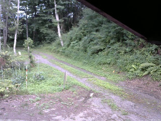 長野県菅平高原 ゆたか山荘 東側(坂下) 2025/07/29 16:30